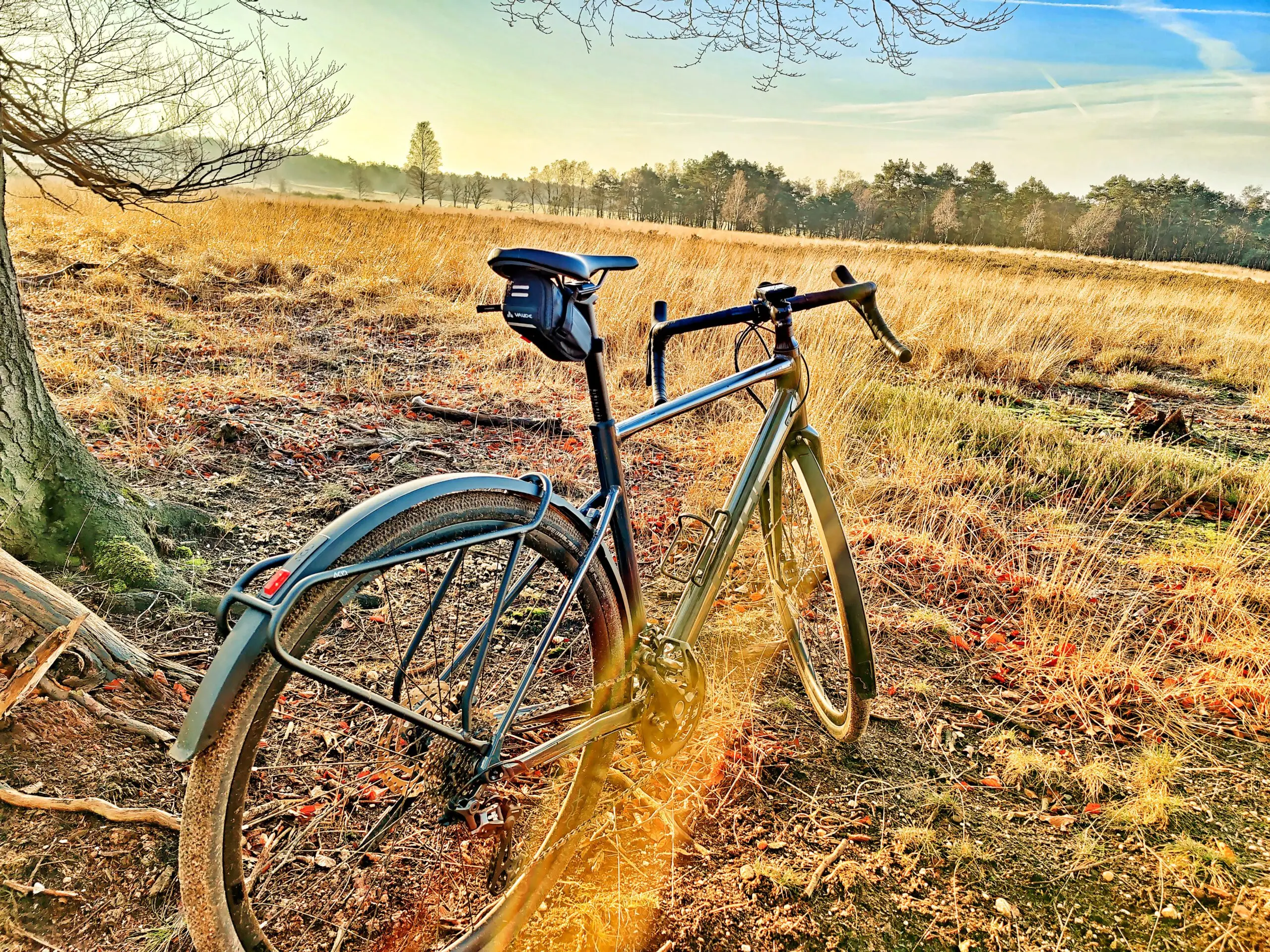 IMG_20201219_101650_edited