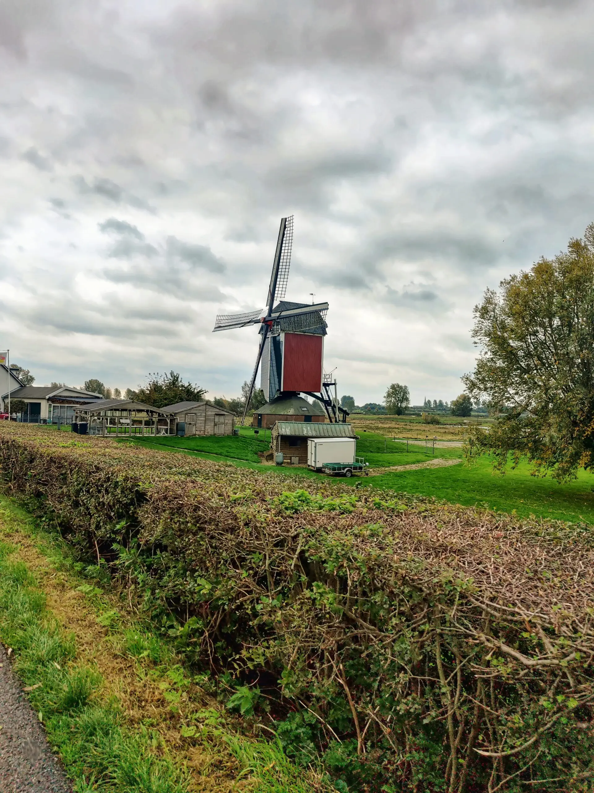 IMG_20211020_121015-01