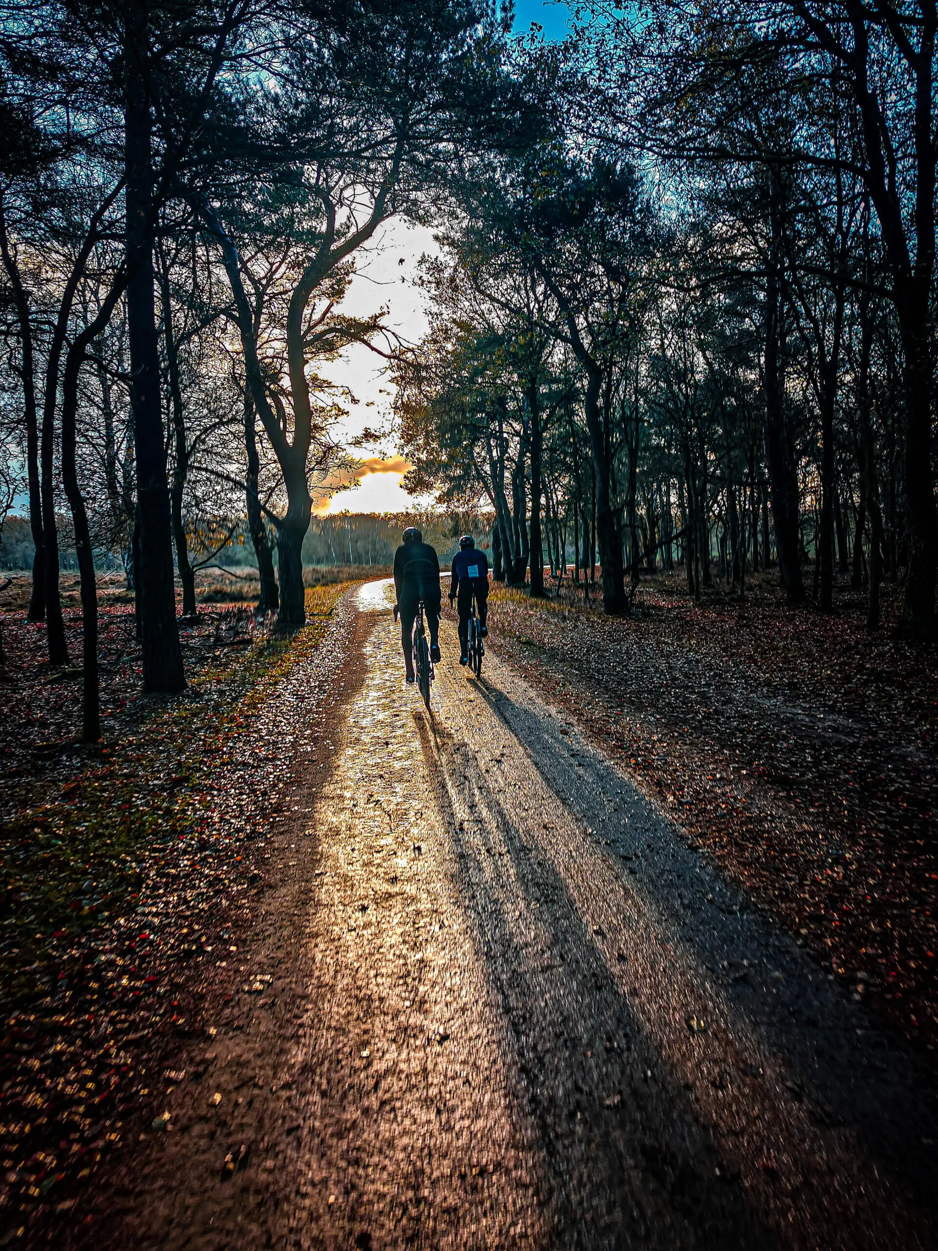 Gravelride door het Gooische Natuurreservaat.